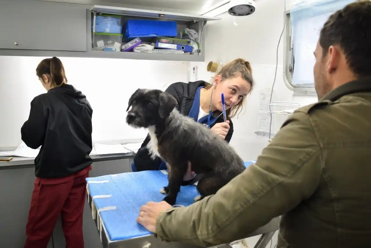 Conocé el cronograma: Continúa el programa de castración gratuita de mascotas en los barrios de Chascomús