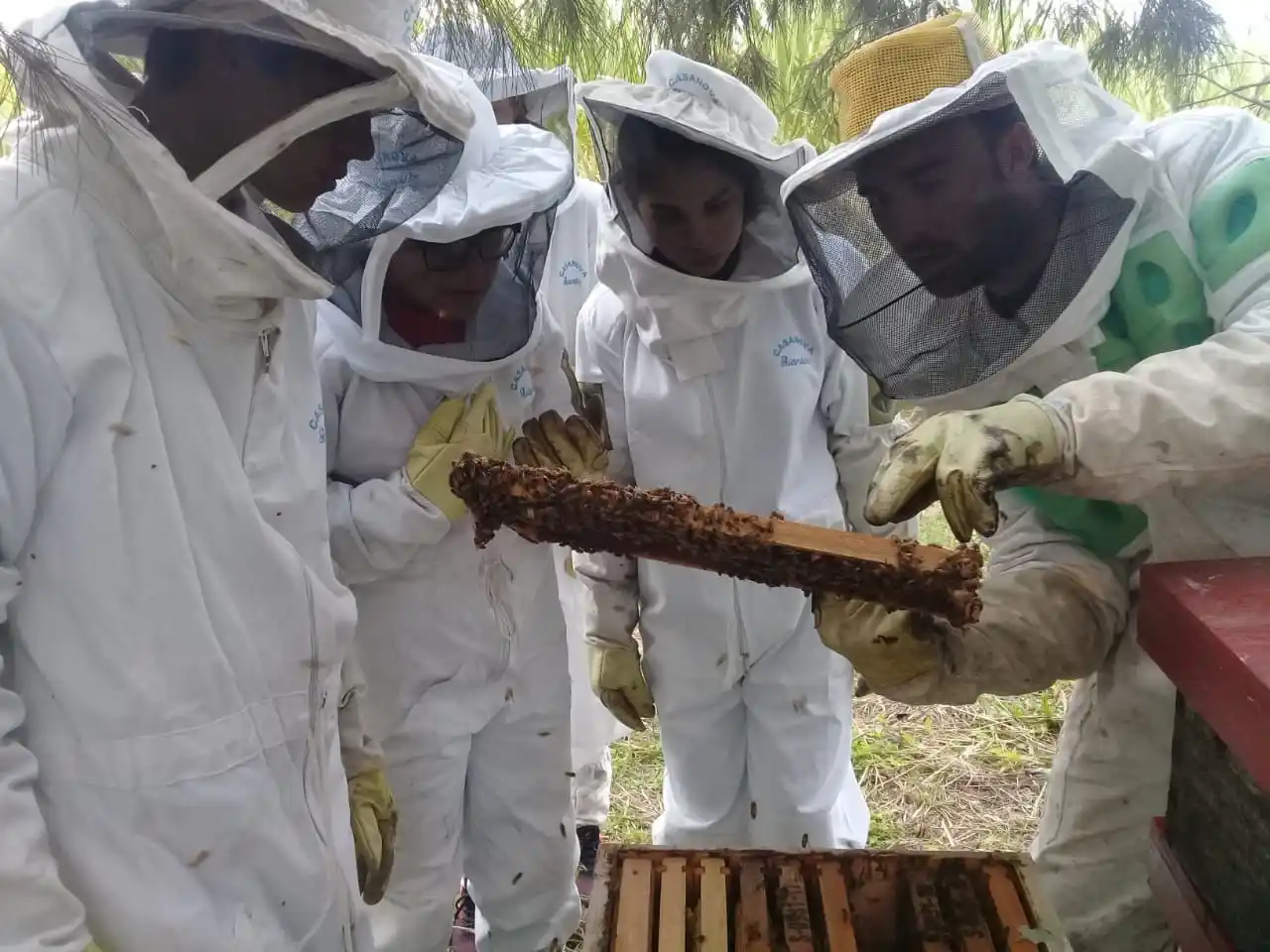 La Fundación Banco Santa Fe seleccionó cinco proyectos sustentables