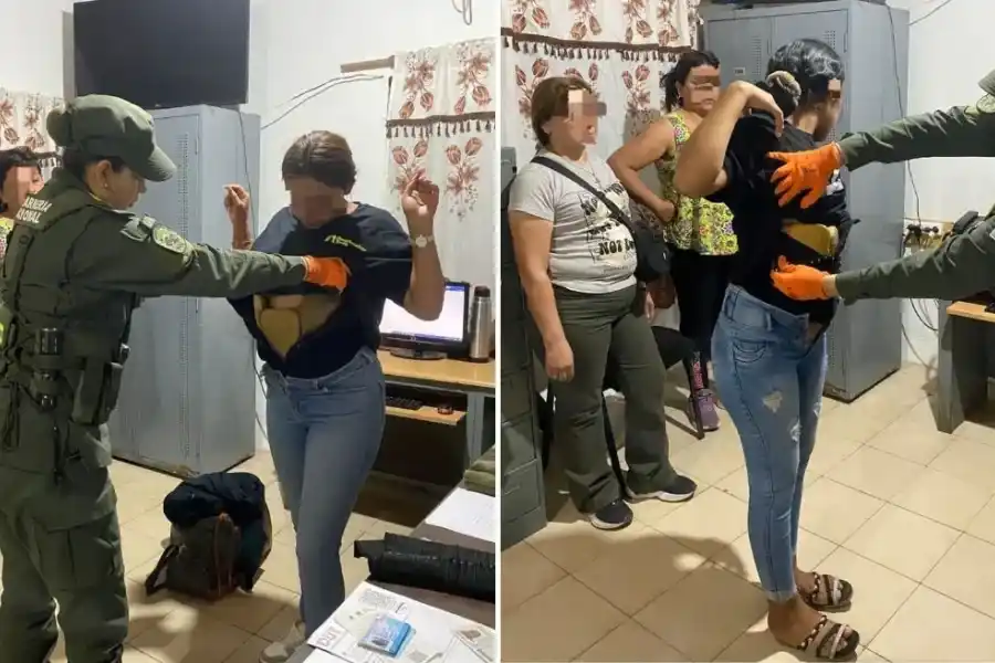 La perra antinarco del escuadrón rafaelino de Gendarmería Nacional encontró más de 11 kilos de cocaína en colectivos