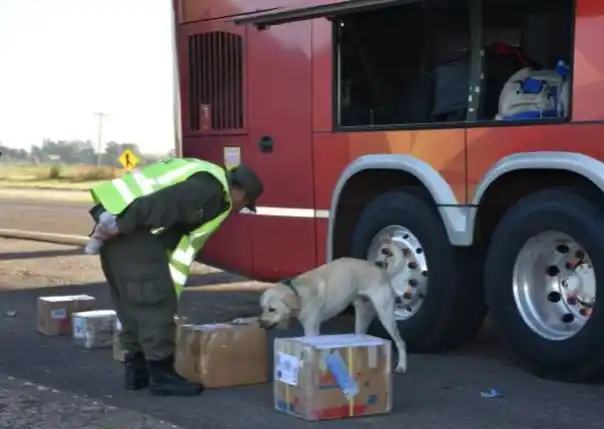Detienen en Buenos Aires a un hombre por la marihuana secuestrada en Gualeguaychú
