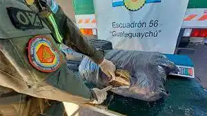 Viajaba en un ómnibus por ruta entrerriana con 11 kilos de marihuana