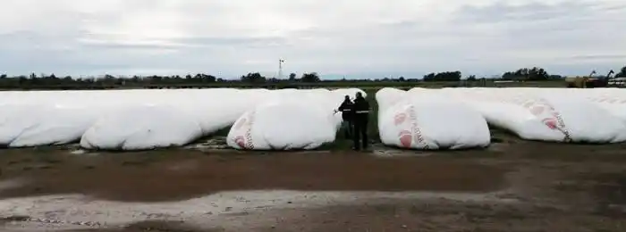 En un operativo de fiscalización,  AFIP incautó casi 7.000 toneladas  de granos sin declarar