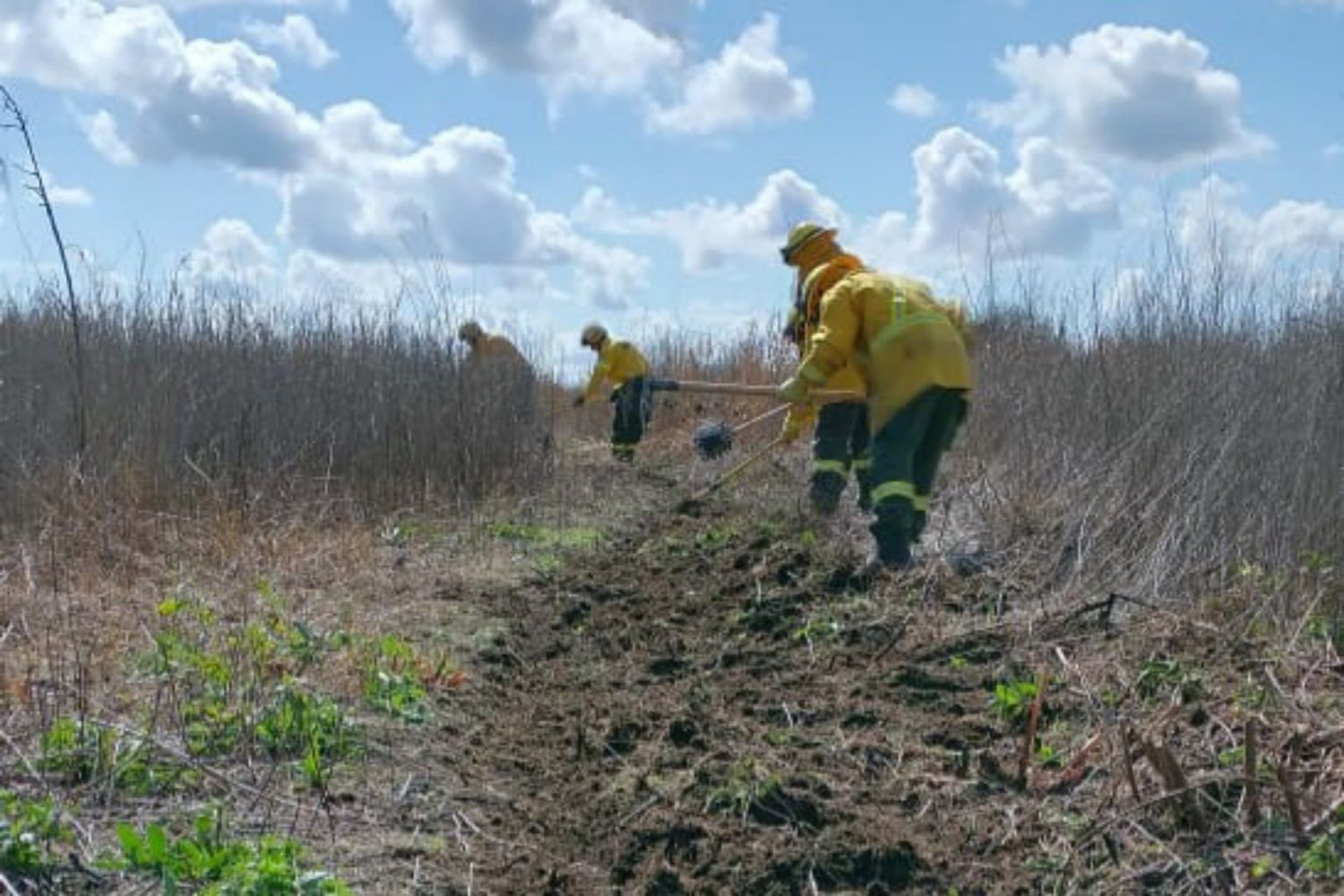 Quedó controlado el foco de incendio en islas del Delta