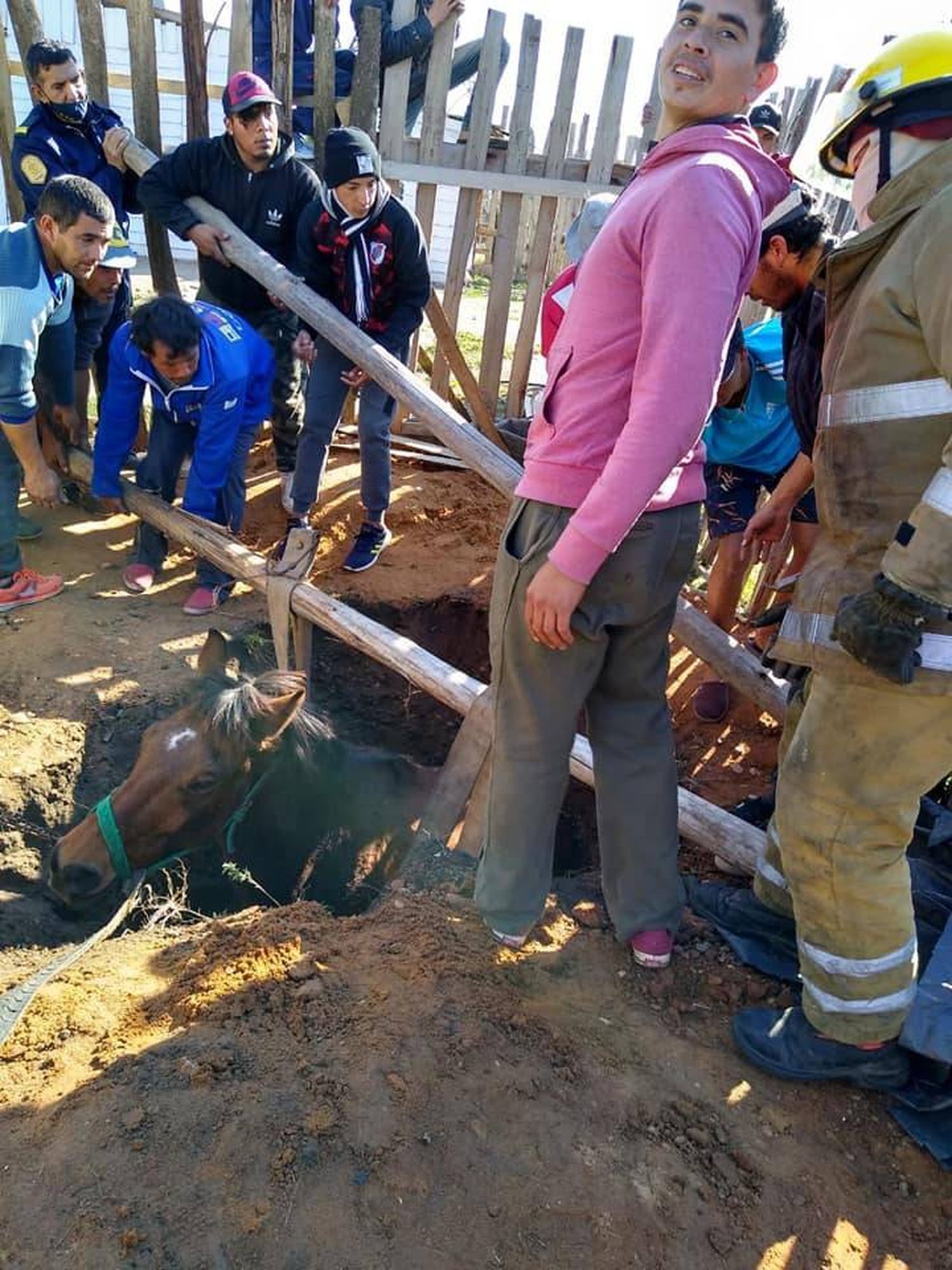 Bomberos Voluntarios rescata a un caballo que cayó en un profundo pozo