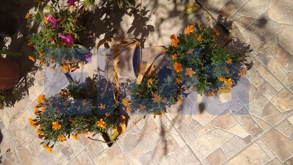 Un motochorro atacó a una mujer y le arrebató la jubilación recién cobrada