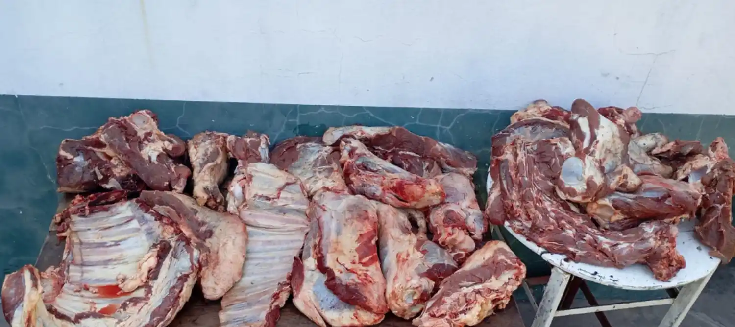 Los Pumas incautaron 230 kilos de carne de dudosa procedencia y aprehendieron a un hombre - 2