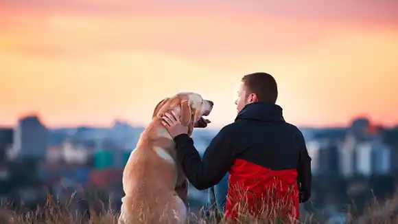 ¿Qué significa que tu perro te siga a todos lados?