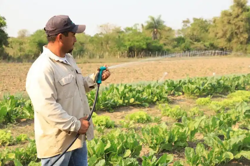 “La producción paippera se está diversificando cada vez más”, resaltan