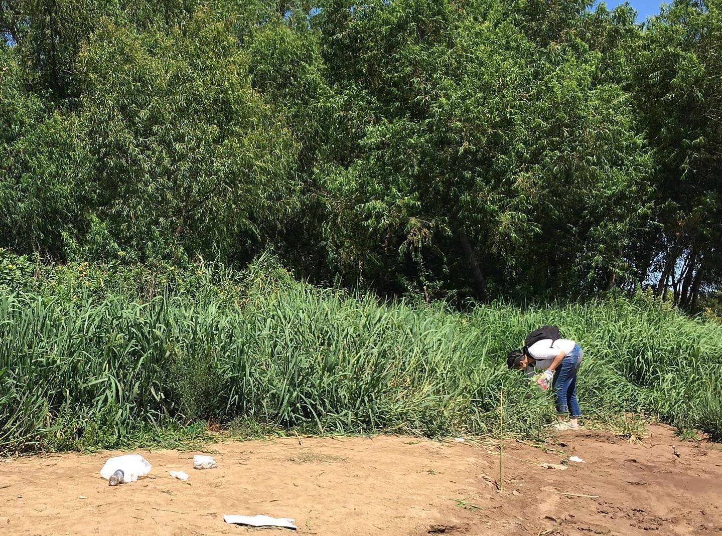 Limpieza solidaria en el Paseo Público: 6 bolsas con residuos reciclables y 3 con no recuperables