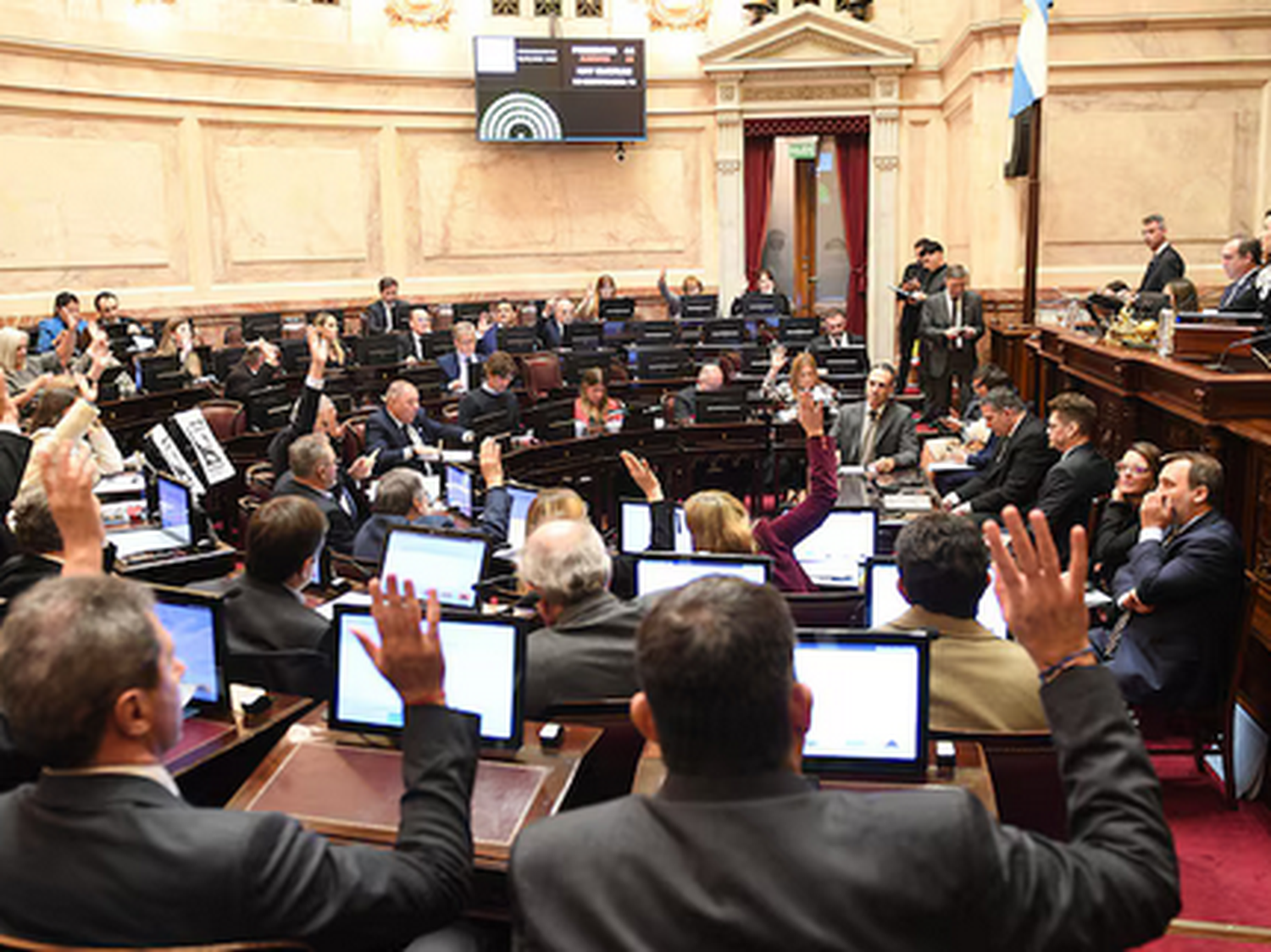 Tensa sesión en el Senado por jubilaciones y discapacidad
