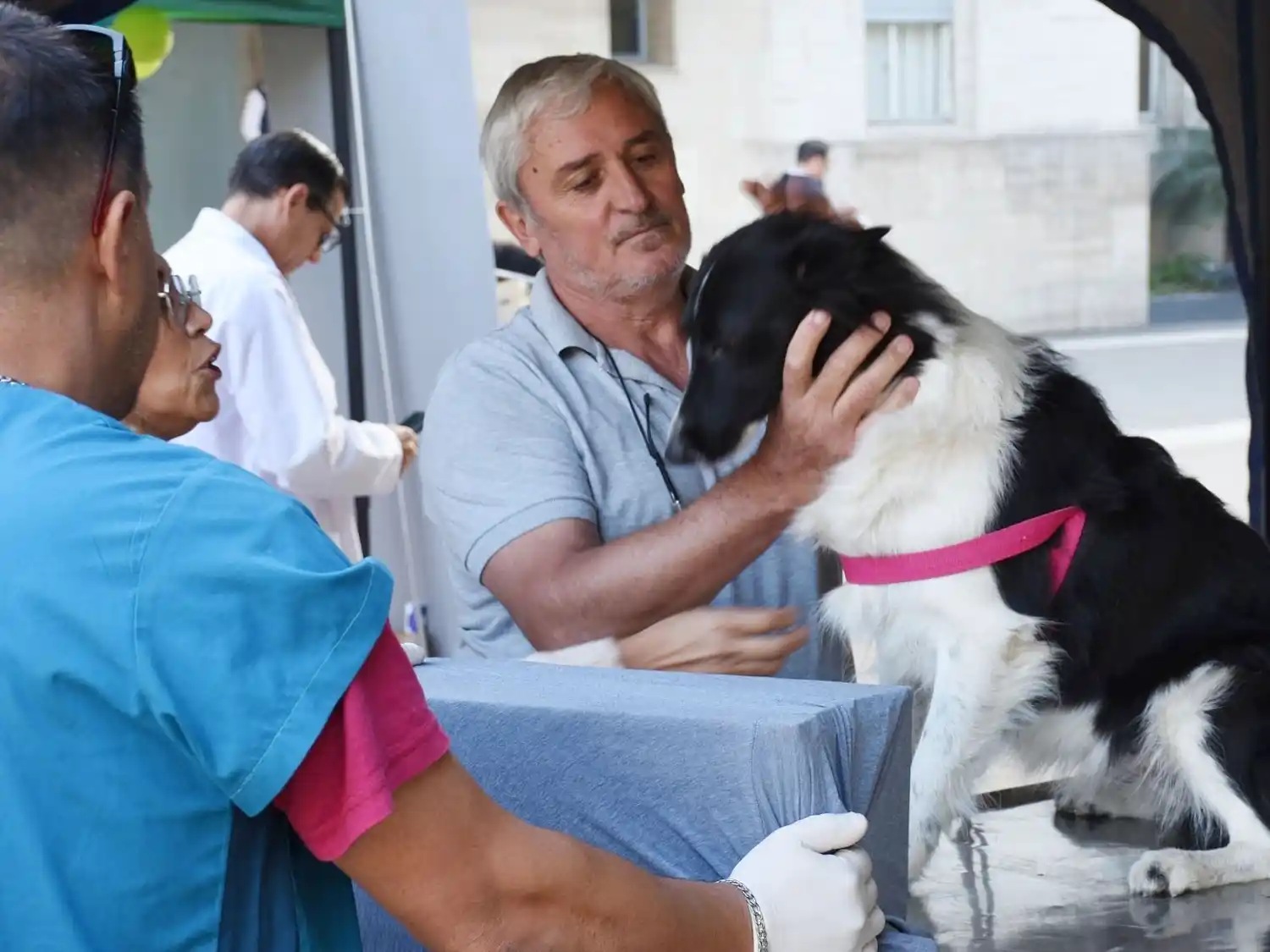 Programa de esterilizaciones barriales
