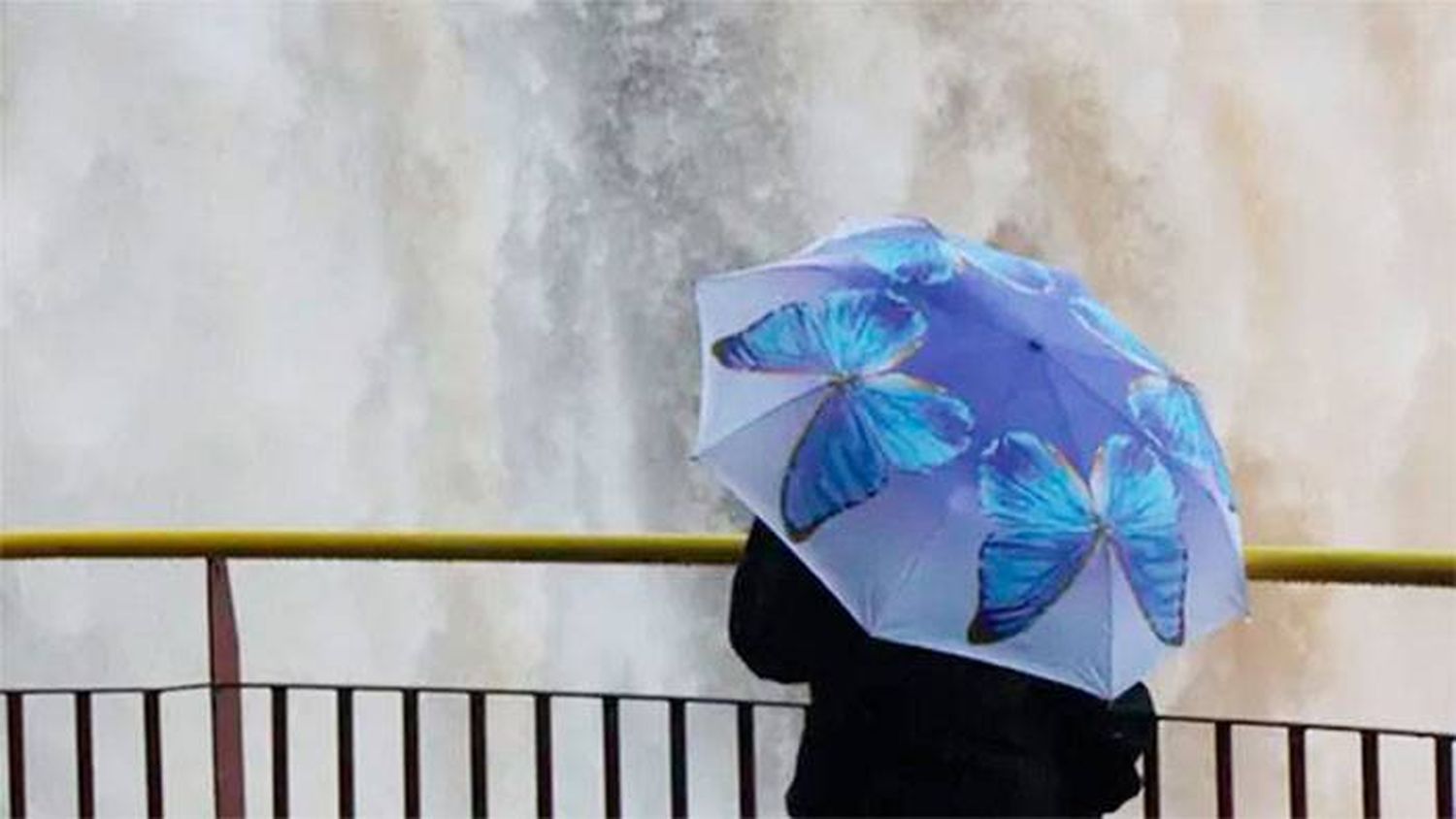 Reabren las Cataratas del lado brasileño, tras las lluvias