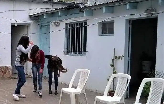 Prisión preventiva pero con arresto domiciliario para las menores que apuñalaron a Maitén Noblia