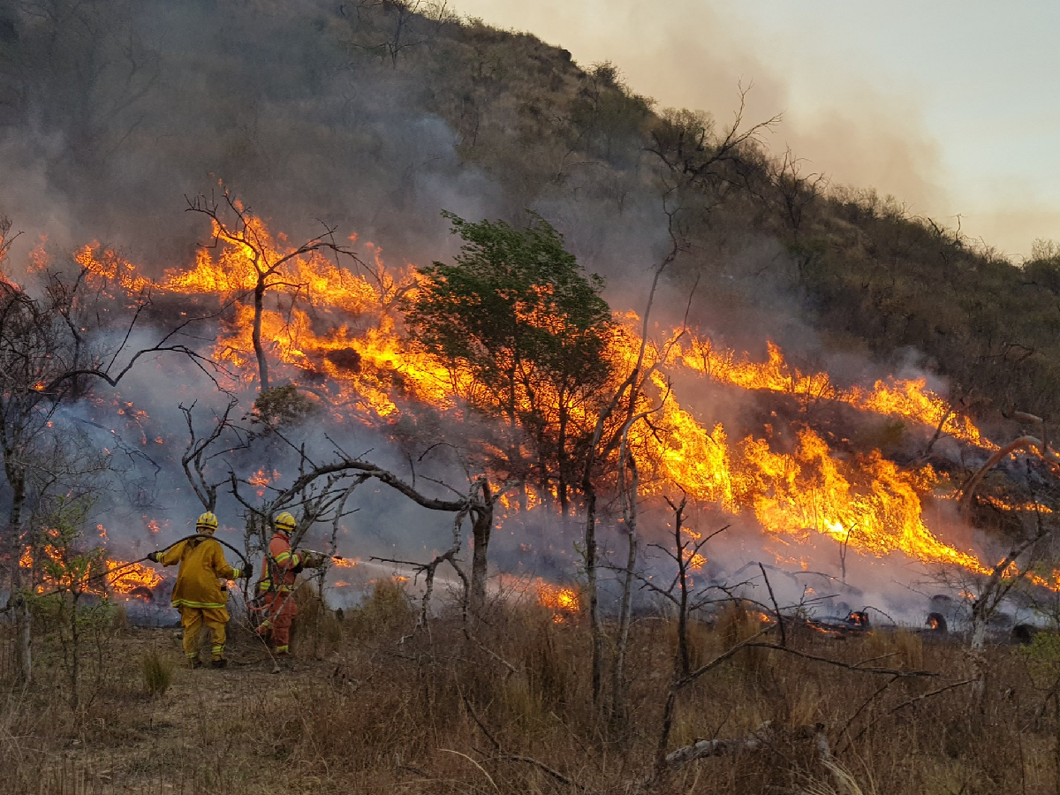 Combaten tres focos de incendio en Córdoba en una jornada con fuertes vientos y sin lluvias