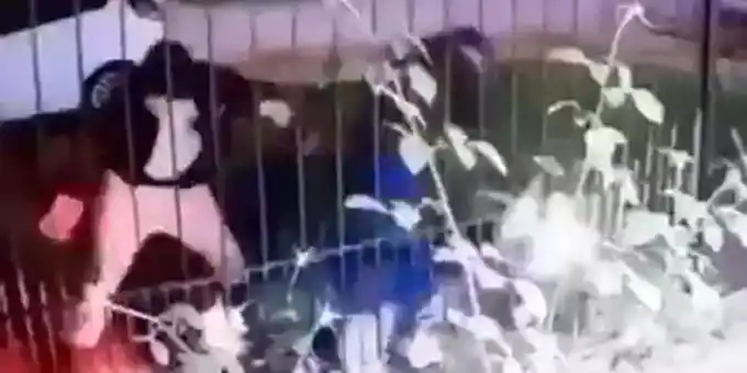 Así fue la secuencia en la que el policía de civil se defendió a los tiros de un asalto en Mar del Plata