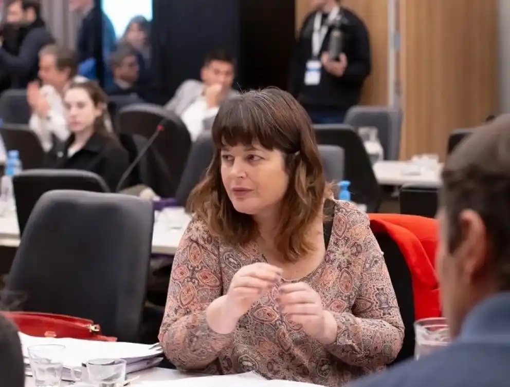 Carolina Gaillard sostuvo que la causa contra CFK “fue armada y orquestada por el poder económico”