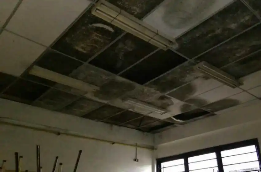 Advierten múltiples problemas edilicios en la mitad de las escuelas