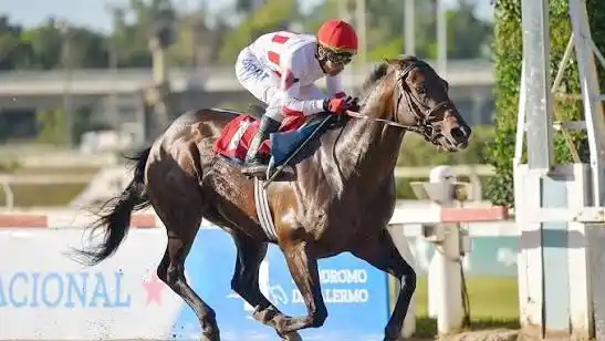 Un finde muy livianito entre Palermo y La Plata