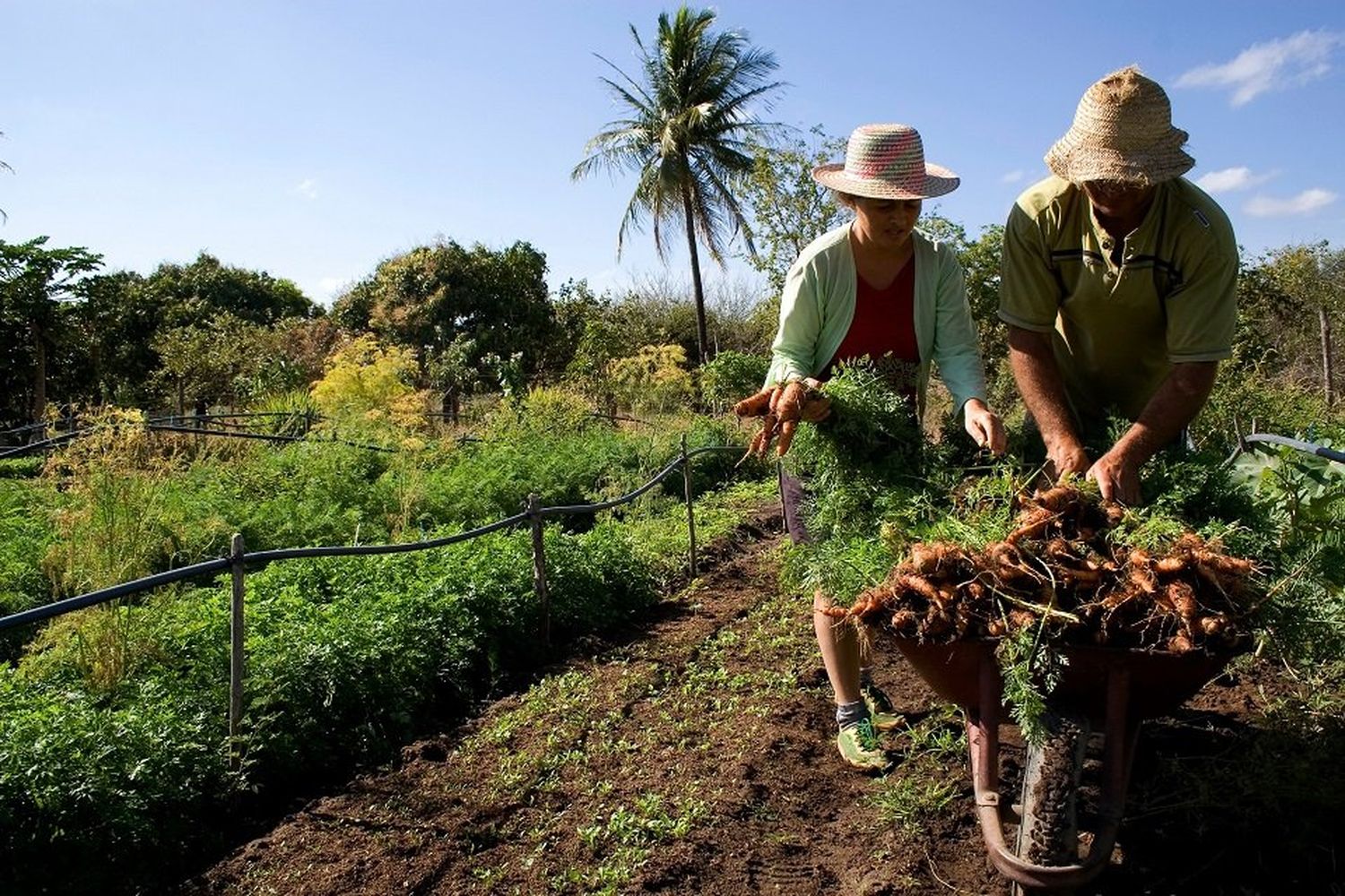 Cada vez más productores se animan a la agroecología