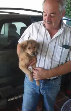 “Vi cómo tiraban algo a la banquina”: viajaba por ruta, su instinto lo llevó a frenar el auto y encontró lo que menos es