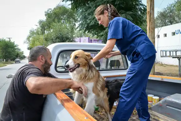 Más de 680 mascotas fueron inmunizadas en la primera semana de la campaña de vacunación antirrábica en Chascomús