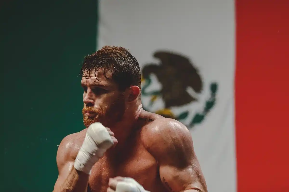 Pelea Canelo Álvarez - Interna 2