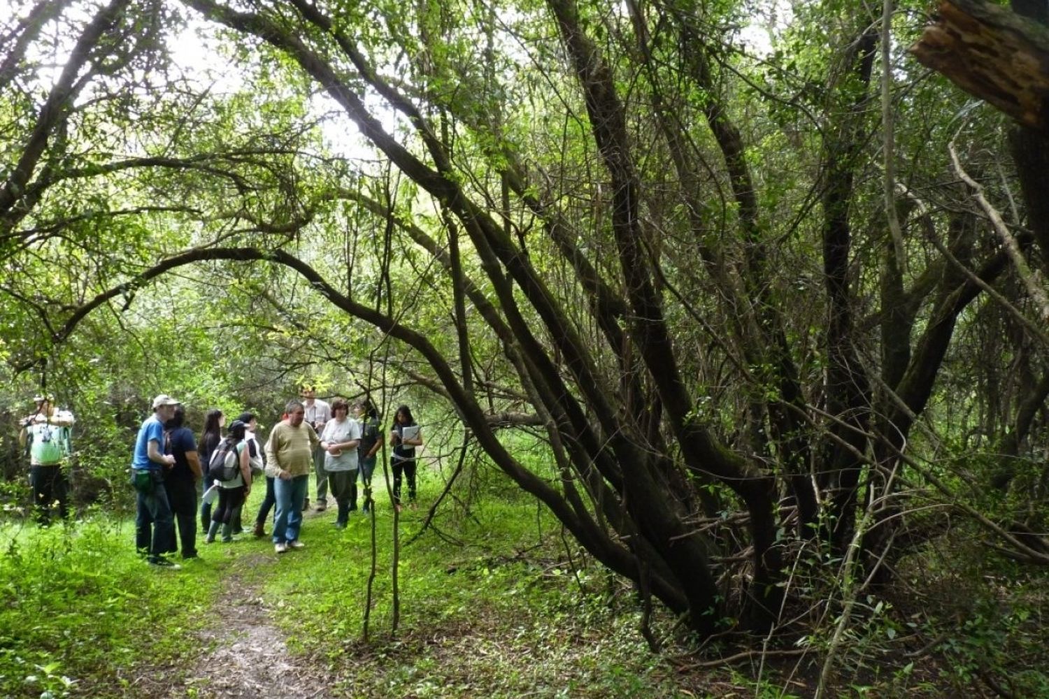 Se presentó un proyecto para crear el Sistema de Áreas Naturales Protegidas de Gualeguaychú