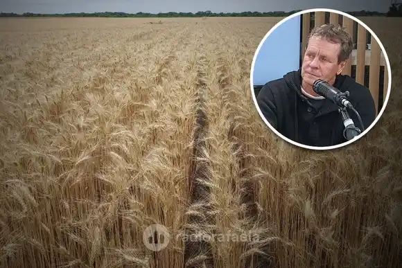 Un alivio para el campo: las precipitaciones regularon el ritmo de las actividades