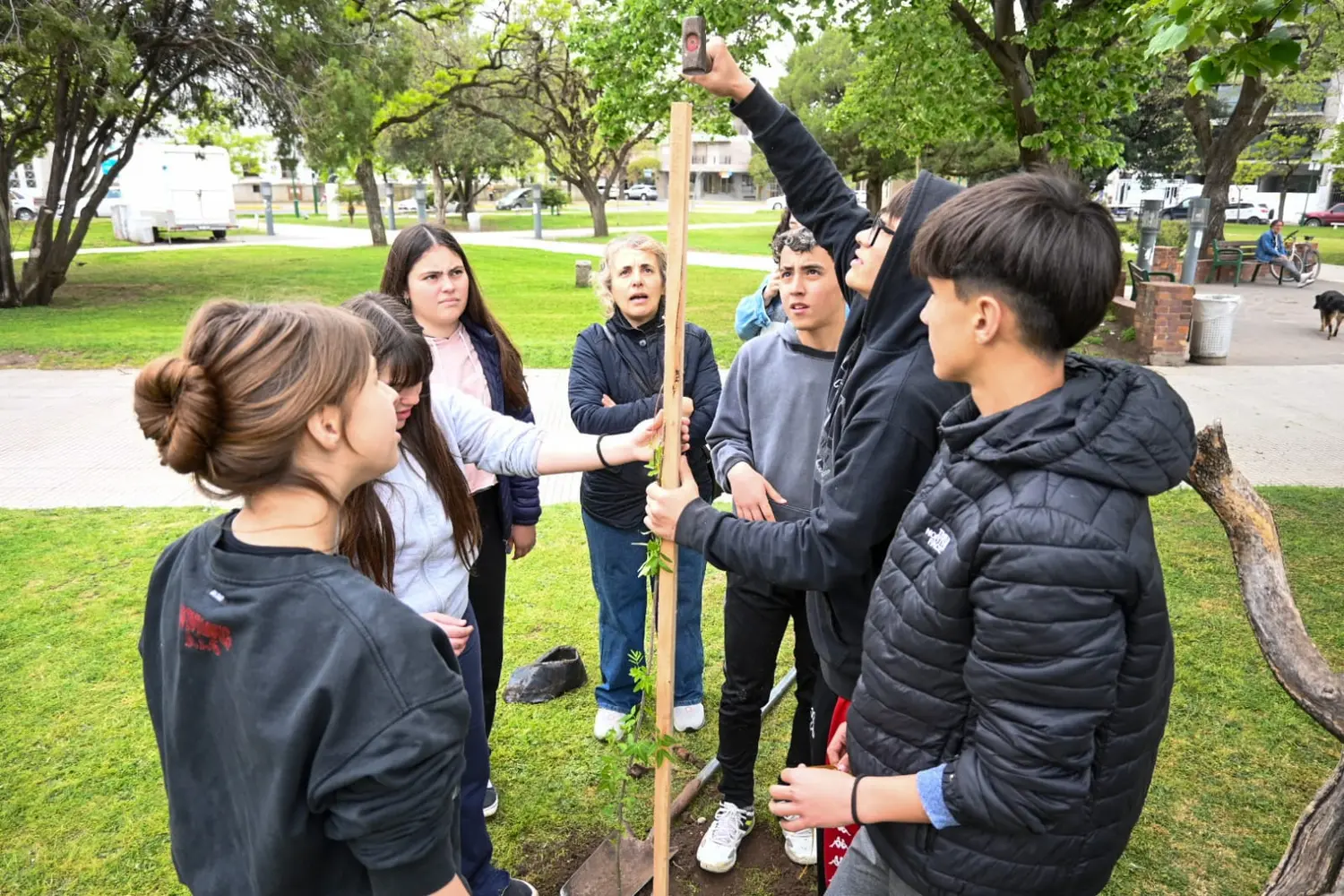 Estudiantes comprometidos con la reforestación local