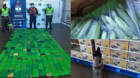 Cae una tonelada de cocaína en el puerto de Santa Marta
