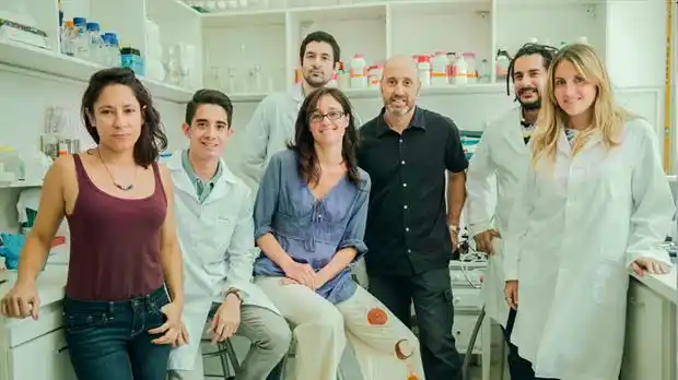 Investigadores argentinos descubren la clave del origen del Alzheimer