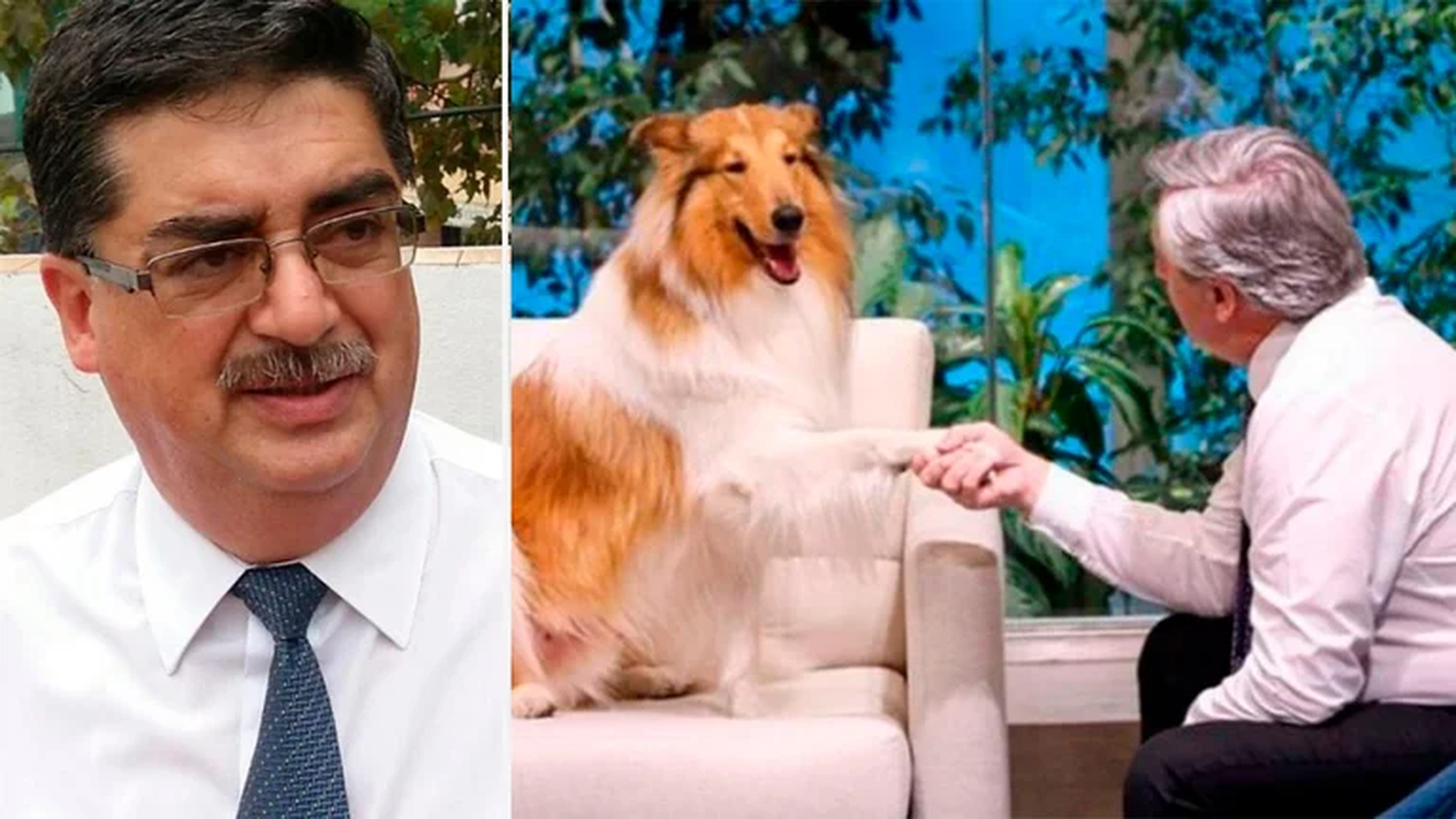 El adiestrador de Dylan, el perro del Presidente, fue designado con un cargo en el Ministerio de Seguridad