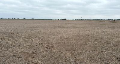 Preocupa la falta de lluvias en el centro-oeste santafesino: al campo le faltan 250 milímetros