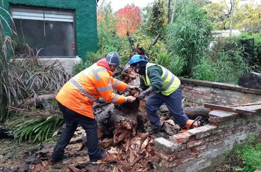 Familias autoevacuadas y árboles caídos, el saldo del temporal en Mar del Plata