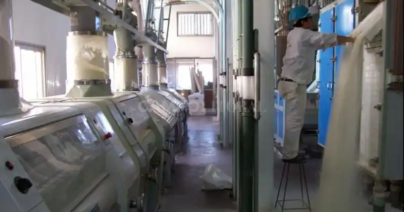 Molinos harineros, tranquilos con las existencias de trigo