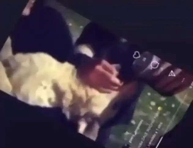 ¡GRABARON UN VIDEO! Así fue cómo un grupo de jóvenes emborrachó a un perro