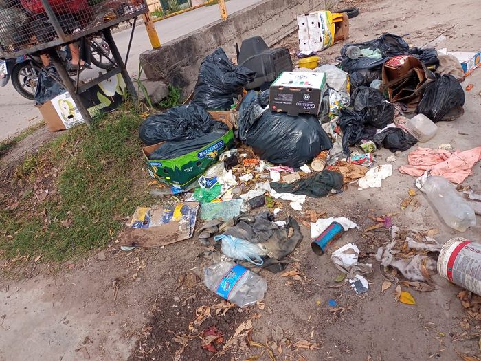 basura suelta barrio italia - 1