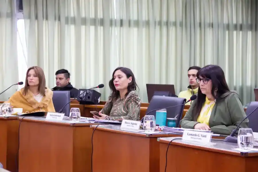 Sagardoy y Soltermam proponen jerarquizar las declaratorias de interés