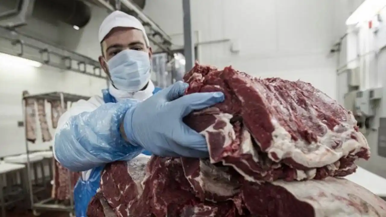 Carne: establecen los requisitos para el troceo y se termina la media res