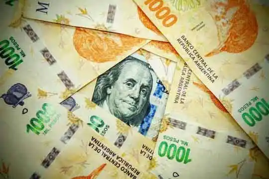 El peso argentino es la moneda que más se apreció en el mundo en 2024