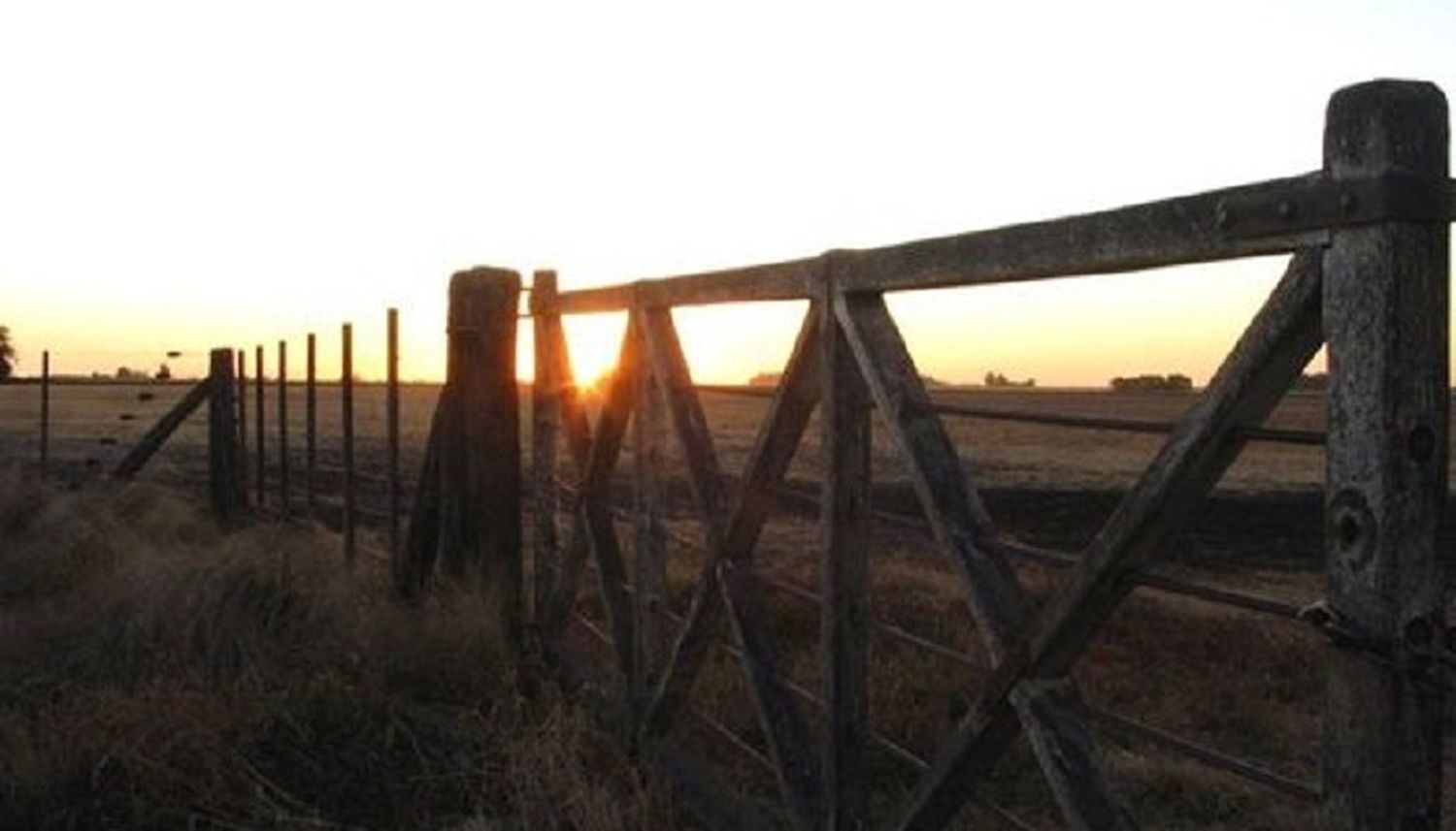 El Gobierno y el campo vuelven a juntarse este viernes por el Inmobiliario Rural