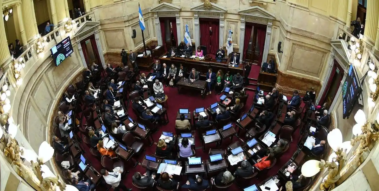 El DNU ingresó en horas de la tarde al Senado nacional.