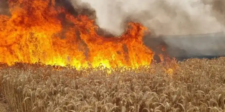 Ante un pronóstico de verano seco, prohíben provocar quemas