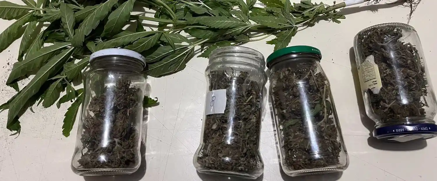La droga incautada en la vecina localidad