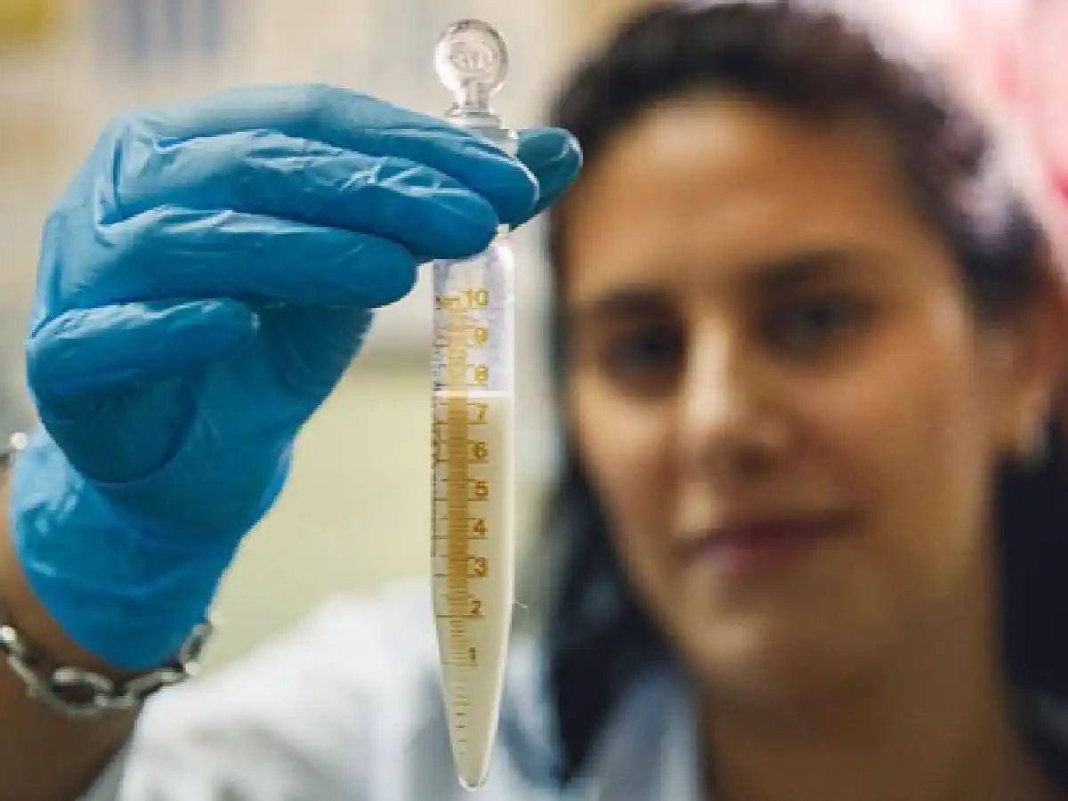 La leche materna de las cordobesas, una de las más ricas en antioxidantes