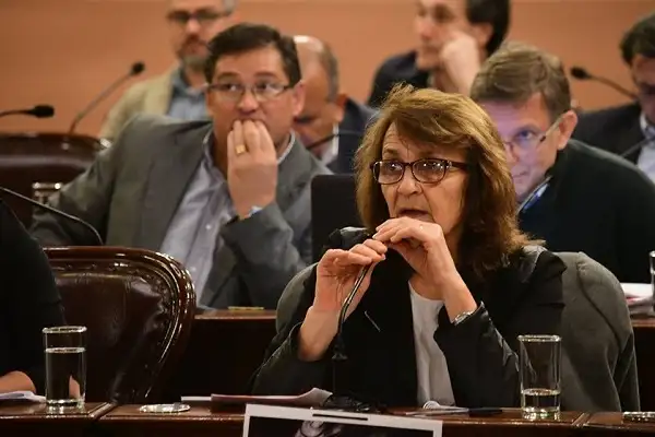 Convirtieron en ley el proyecto para fortalecer cooperativas de obras públicas