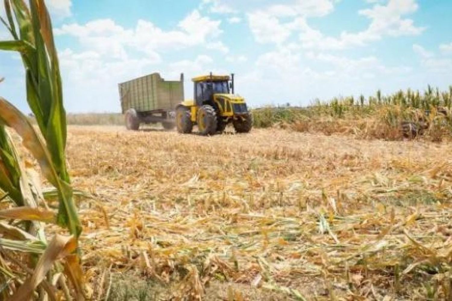 Emergencia agropecuaria: la provincia homologó la prórroga por sequía en todo el territorio santafesino