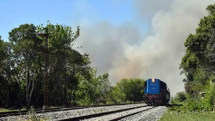 Combaten un incendio en el Parque Nacional Ciervo de  los Pantanos