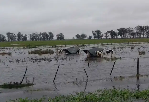 Inundaciones: El Gobierno destinará $1000 millones