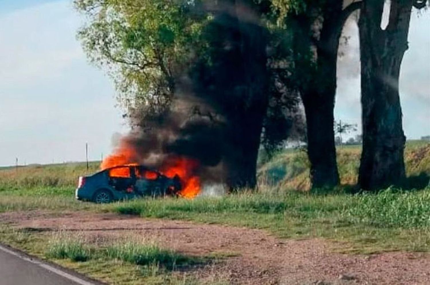 El auto se incendió totalmente luego de impactar a alta velocidad contra varios árboles.